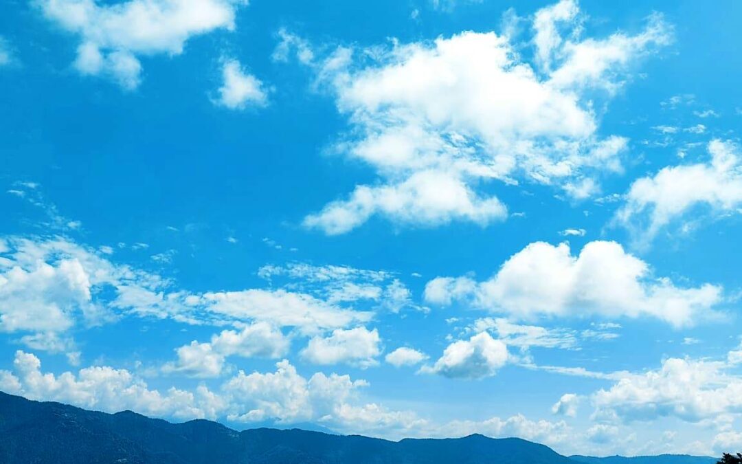 Expanding My Horizon